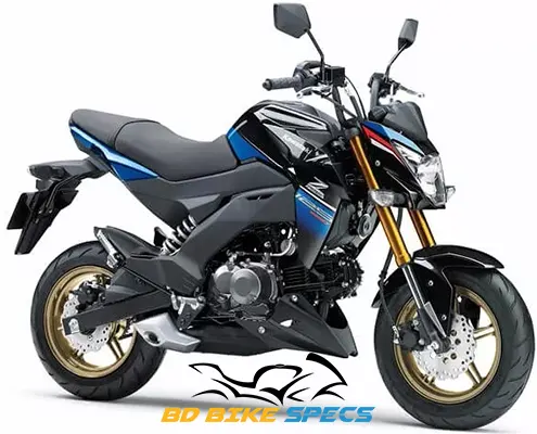 Kawasaki Z 125 PRO Features